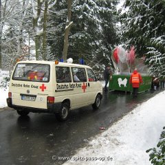 Karneval 2010 138